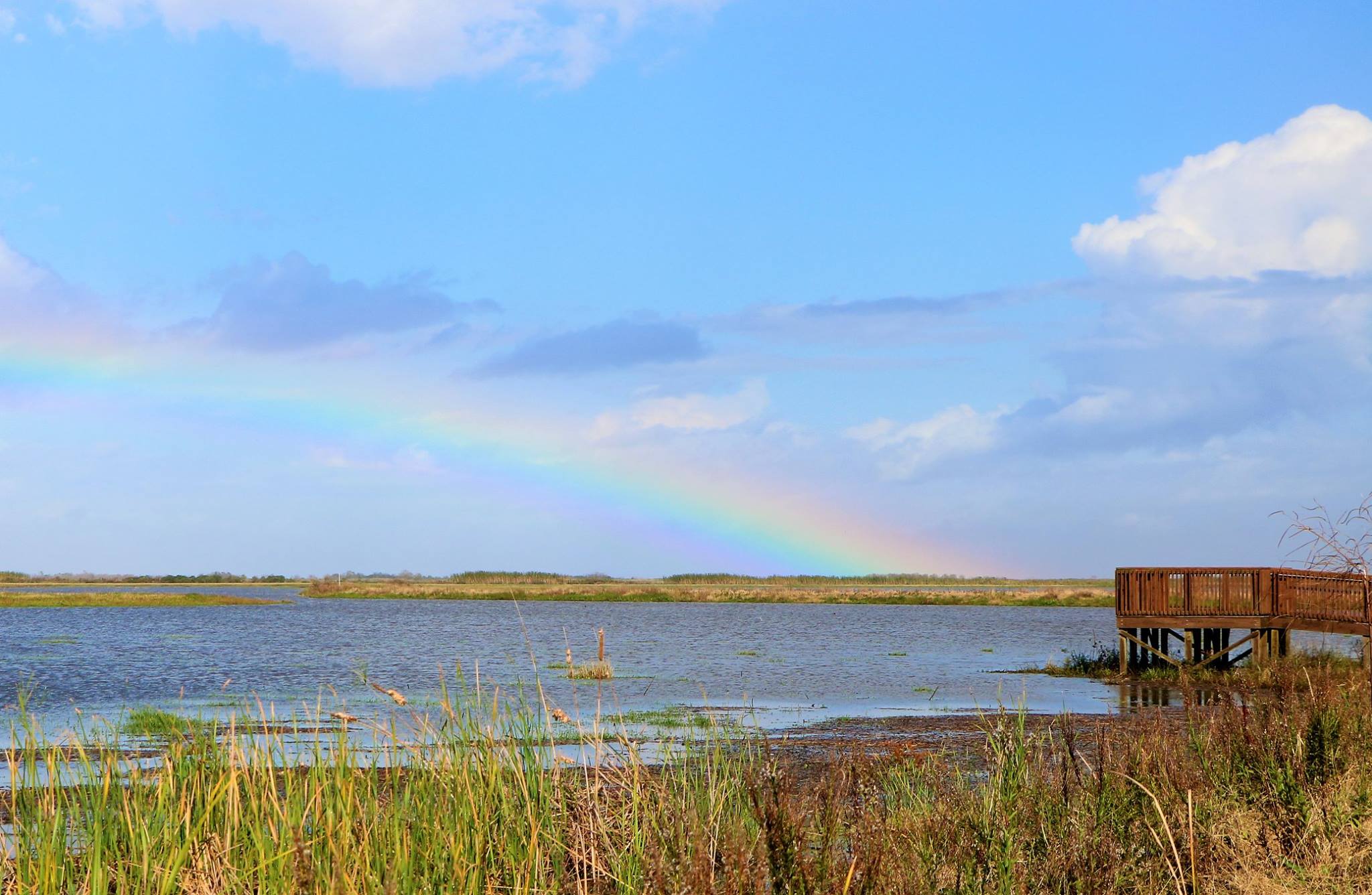 A peek at Anahuac National Wildlife Refuge | Liberty Vindicator